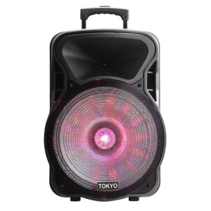 PARLANTE TOKYO PARTY 15 BATERIA 6600mAh BLUETOOH FM/USB 2 MICROFONOS